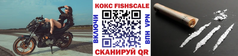 COCAIN Fish Scale Павловский Посад